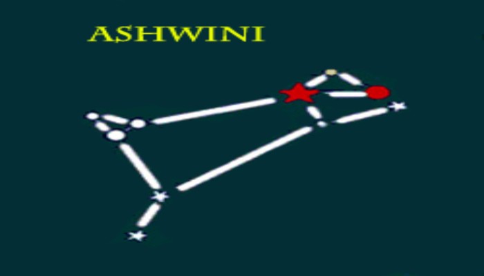 ashwini