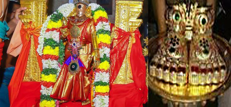 meenakshishoe.jpg